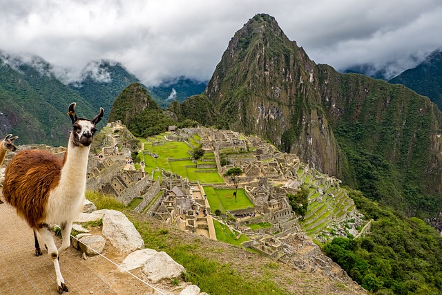 Vista panorámica de Machu Picchu, Perú